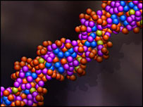 DNA