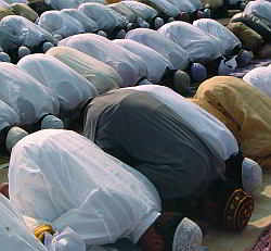 p12_d3_riyadh_a250.jpg