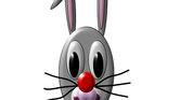 Rabbit face