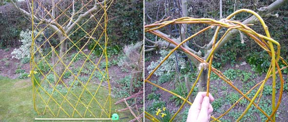 Step 4 - for willow structure only