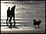 Walkers at Mothecombe Beach