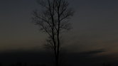 Shades of Nature...