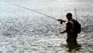 Angler