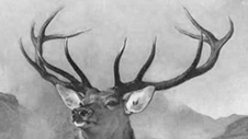 Donnchadh Bàn Mac an t-Saoir