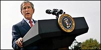 bushz1_203.jpg