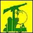 Manifestante do Hezbollah