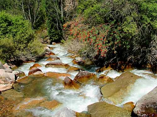 river.jpg