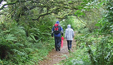 Leaving the village