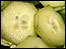 Slided cucumber