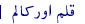 قلم اور کالم