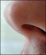 Nose