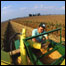Cevada (Foto: National Non-Food Crops Centre)