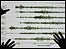 Seismogram
