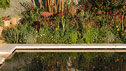 The Foreign & Colonial Investments Garden