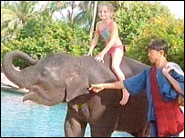 elefante Ningnong e a menina Amber