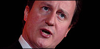 cameron_203_9.jpg