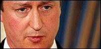 dcameron_203.jpg