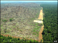 Desmatamento na Amazônia (foto de arquivo)