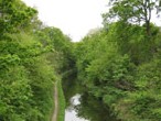Central Scotland Forest (Pic courtesy of CSF Trust)
