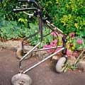 Penny's rusting old silver tri-walker