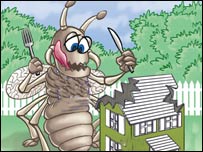 پشه ی ملاريا