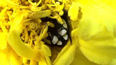 Behind every...