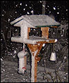 snow