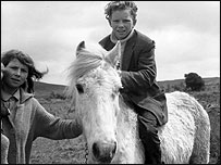 New Forest Gypsies