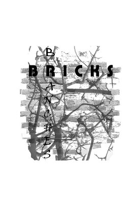 Bricks and Branches