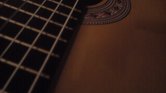 Guitar Body Guitar Body