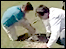 BBC Sport's Mike Bushell has a go at Shin Kicking