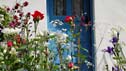 Entente Cordiale