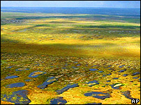 Tundra na Sibéria