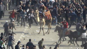 موقعة الجمل